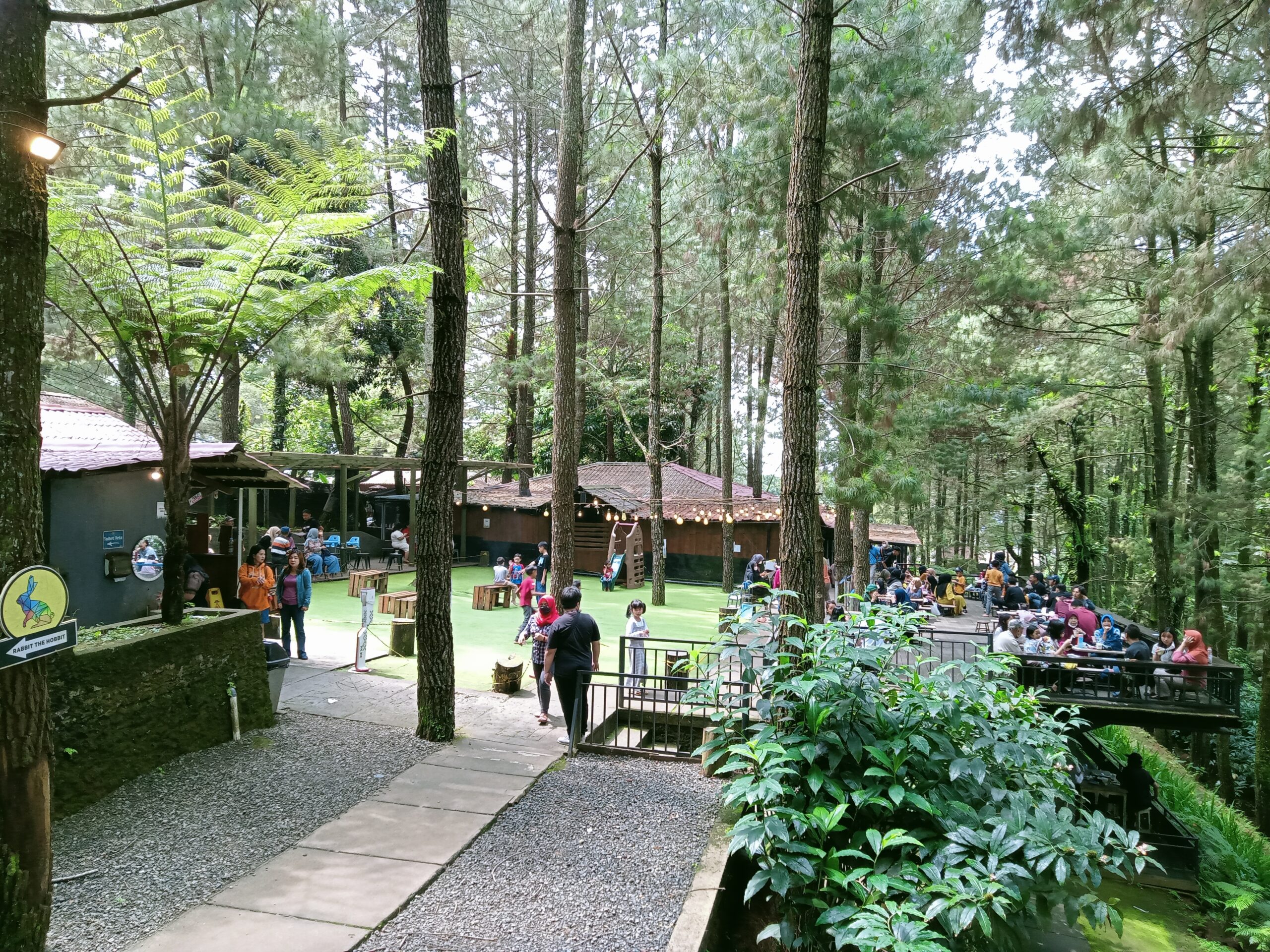 Kopi Daong, Tempat Nongkrong Anak Bogor yang Bernuansa Alam