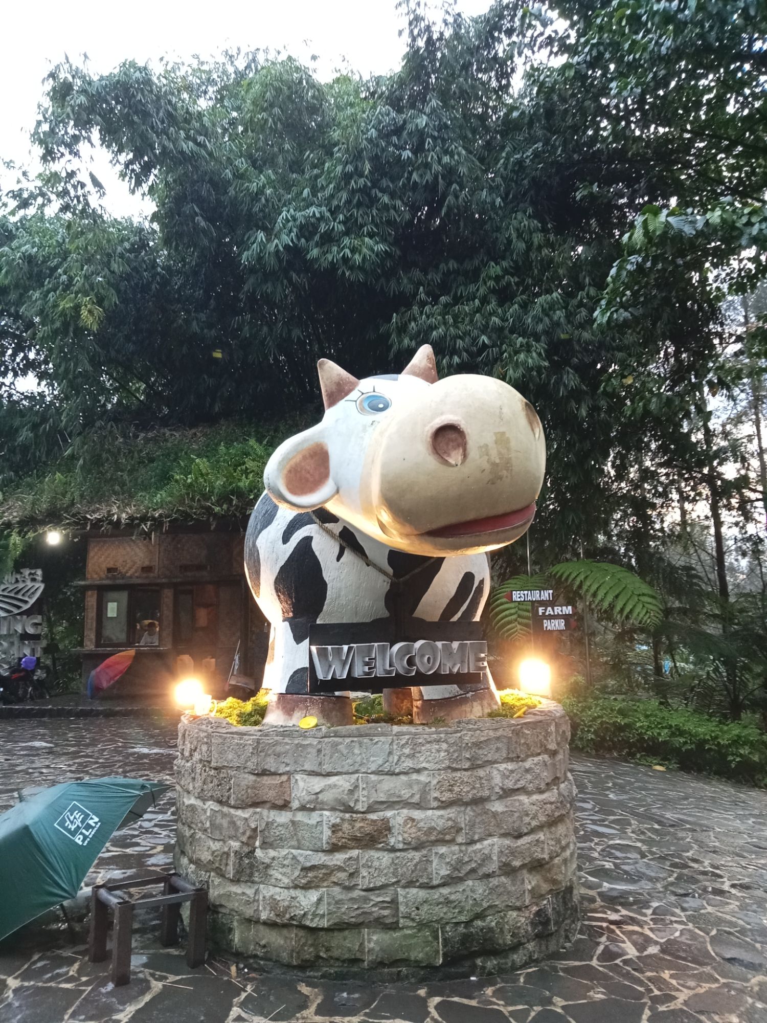 Gundaling Farmstead, Keju dan Yogurt dari Susu Sapi Terbaik