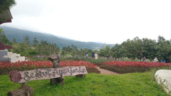 Sekar Ayu Sibolangit, Cafe Jepang dengan View Bukit