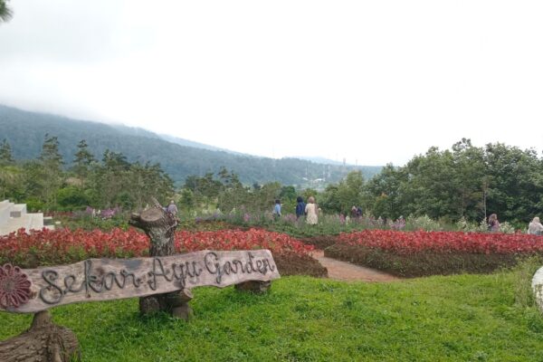 Sekar Ayu Sibolangit, Cafe Jepang dengan View Bukit