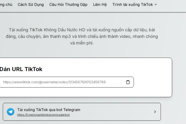 Download Video TikTok Tanpa Watermark, Gratis dan Mudah